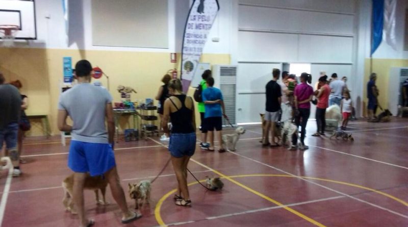 Vegas del Genil organiza una ‘vacunación masiva’ de perros y gatos a precios populares