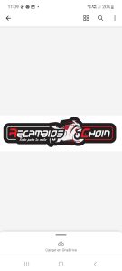 LOGO RECAMBIOS CHOIN 135x300